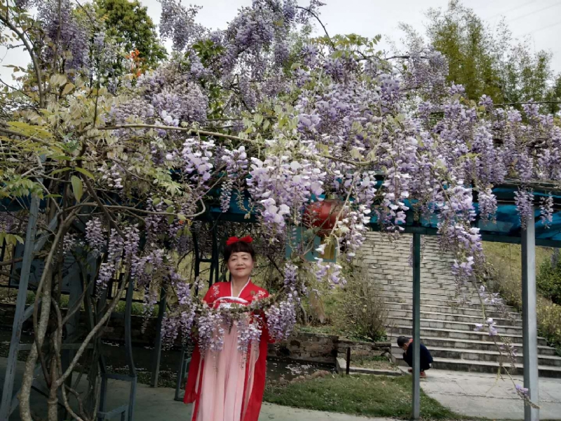 莉莉的第一张照片--漳平婚介网